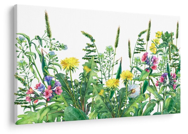 Slika - Slikano livadsko cvijeće (90x60 cm)