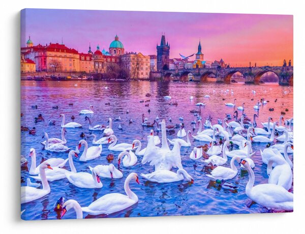 Slika - Prag (70x50 cm)