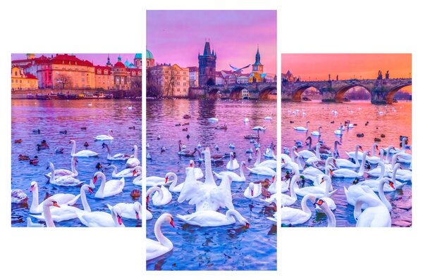 Slika - Prag (90x60 cm)