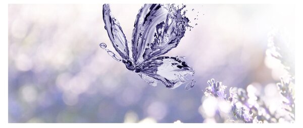 Slika - Leptir i lavanda (120x50 cm)