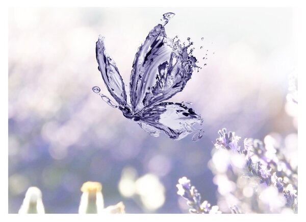 Slika - Leptir i lavanda (70x50 cm)