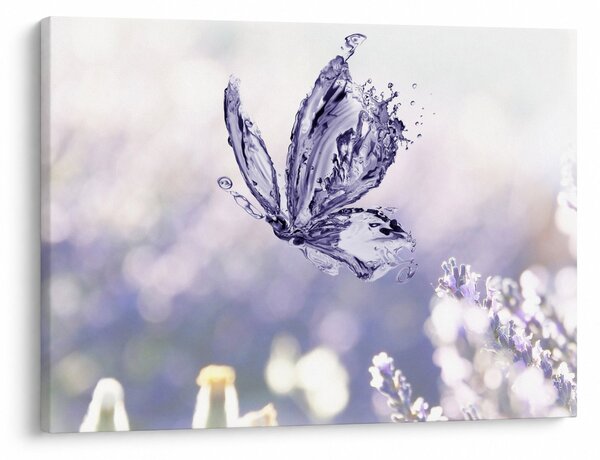 Slika - Leptir i lavanda (70x50 cm)