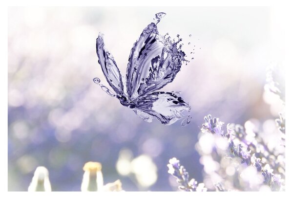 Slika - Leptir i lavanda (90x60 cm)