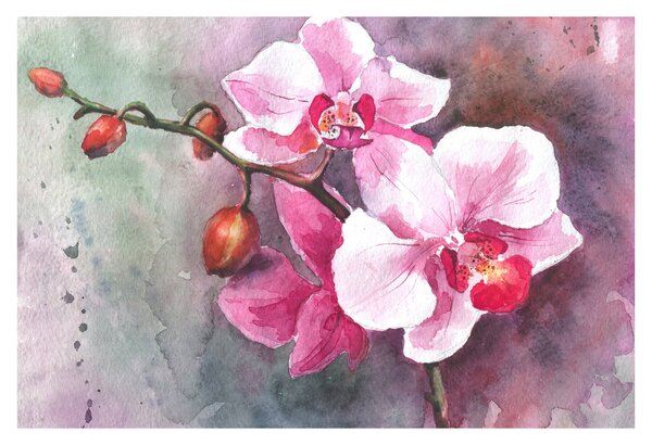 Slika - Orhideje, akvarel (90x60 cm)
