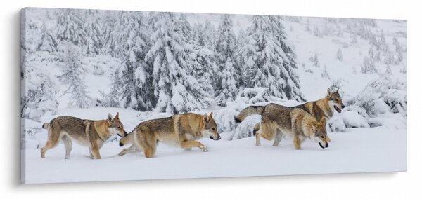 Slika - Vukovi u planinama (120x50 cm)