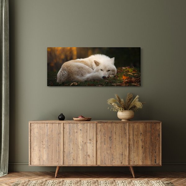 Slika - Vuk koji se odmara (120x50 cm)
