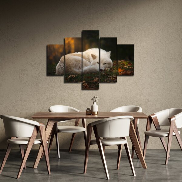 Slika - Vuk koji se odmara (150x105 cm)