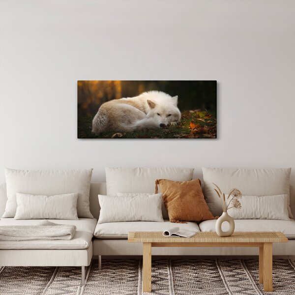 Slika - Vuk koji se odmara (120x50 cm)