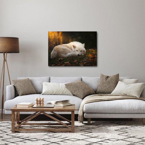 Slika - Vuk koji se odmara (70x50 cm)
