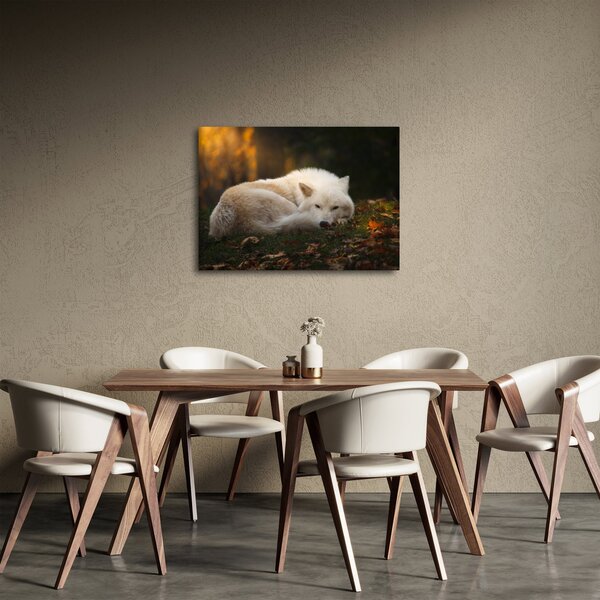 Slika - Vuk koji se odmara (70x50 cm)