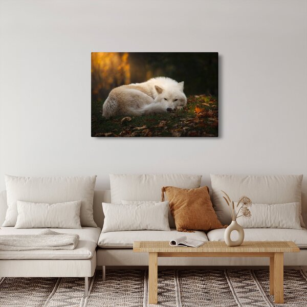 Slika - Vuk koji se odmara (90x60 cm)