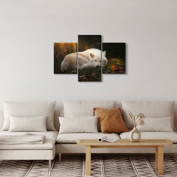 Slika - Vuk koji se odmara (90x60 cm)