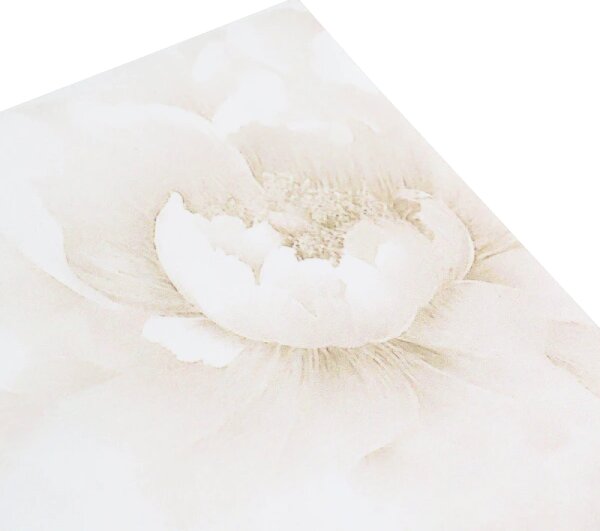 Posteljina Peony set s gornjom plahtom - Siva, 220x280/2x60x80 cm