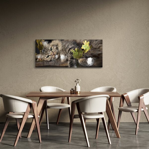 Slika - Lažljiva mačka (120x50 cm)