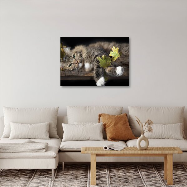 Slika - Lažljiva mačka (70x50 cm)