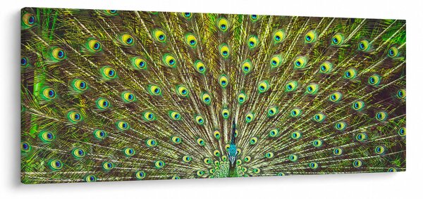 Slika - Paun (120x50 cm)