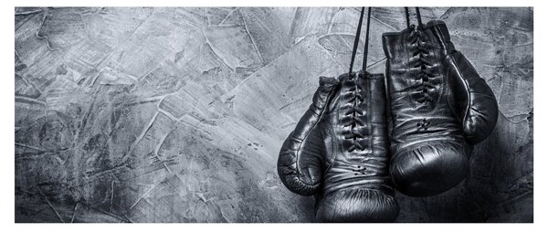 Slika - Boksačke rukavice (120x50 cm)