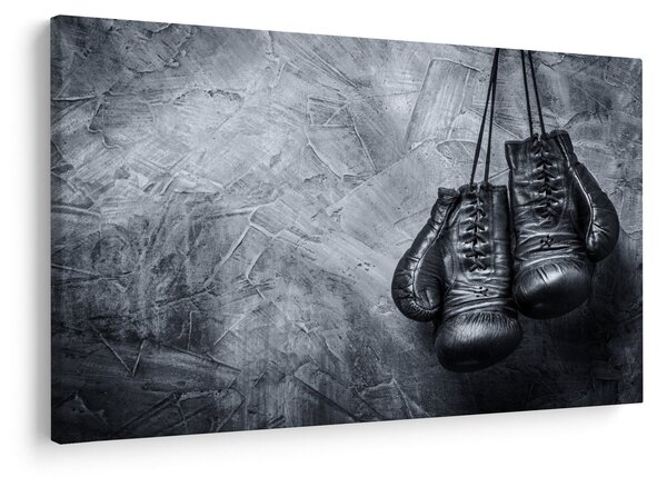 Slika - Boksačke rukavice (90x60 cm)