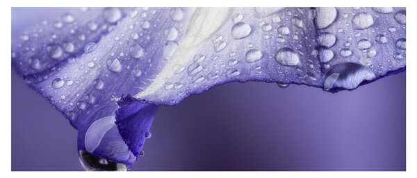 Slika - Latica s kapljicama (120x50 cm)