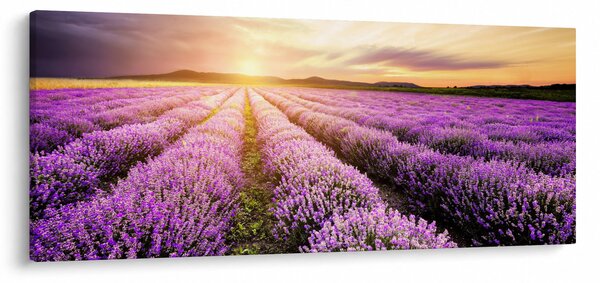 Slika - Izlazak sunca u polju lavande (120x50 cm)