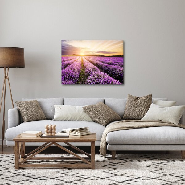 Slika - Izlazak sunca u polju lavande (70x50 cm)