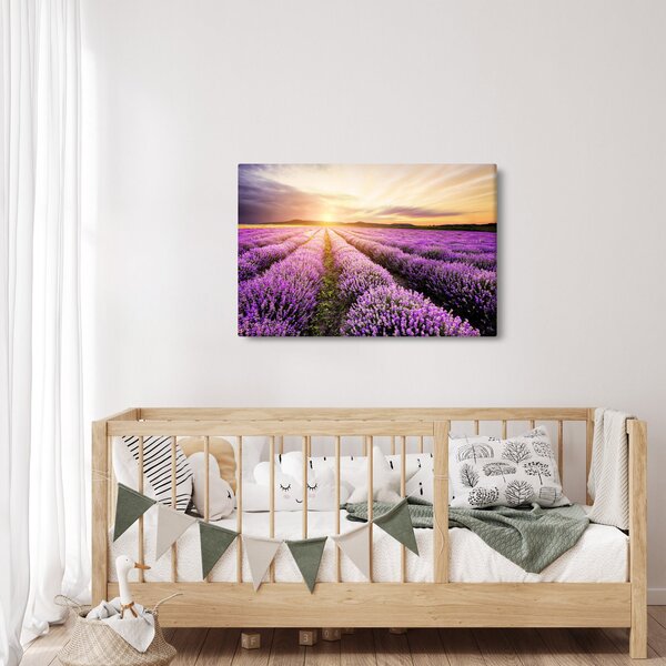 Slika - Izlazak sunca u polju lavande (90x60 cm)
