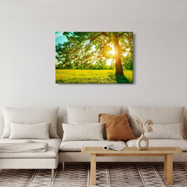 Slika - Sunčana šuma (90x60 cm)