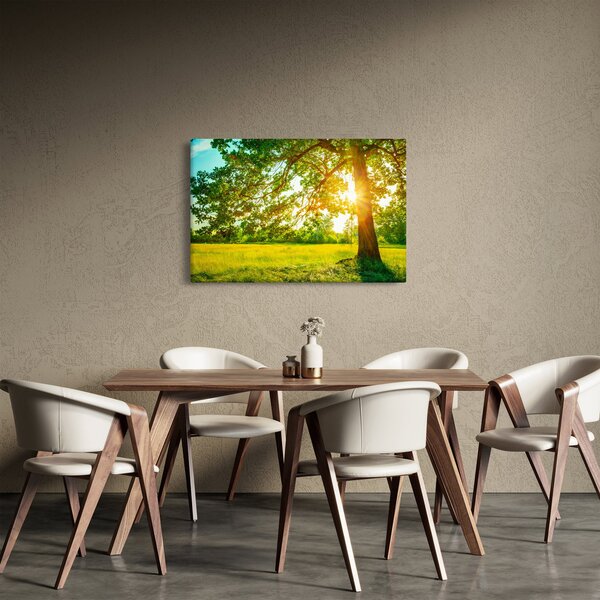 Slika - Sunčana šuma (90x60 cm)