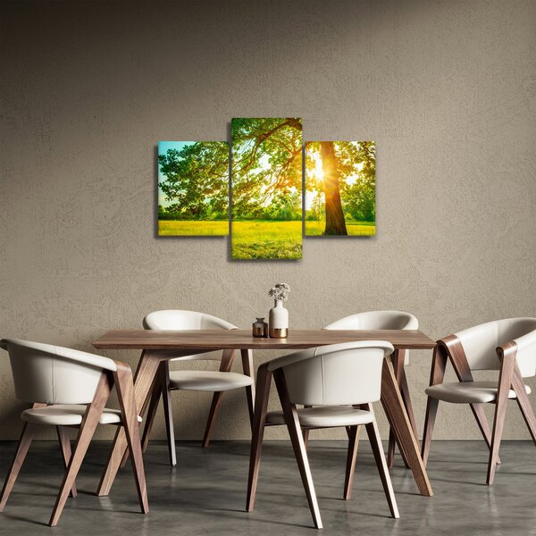 Slika - Sunčana šuma (90x60 cm)