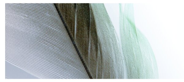 Slika - Perje, makro (120x50 cm)