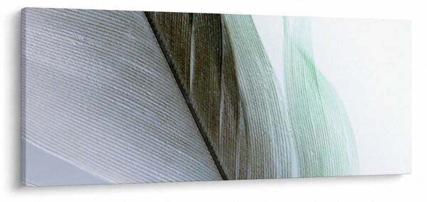 Slika - Perje, makro (120x50 cm)