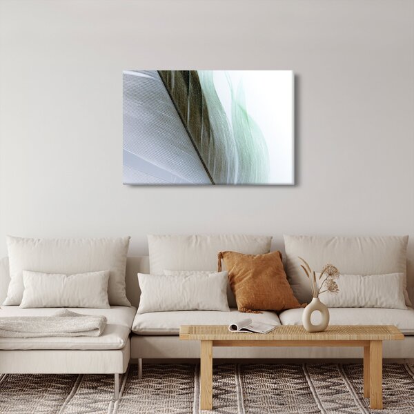 Slika - Perje, makro (90x60 cm)