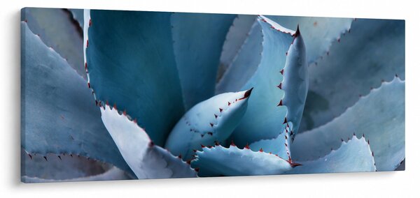 Slika - Agava (120x50 cm)