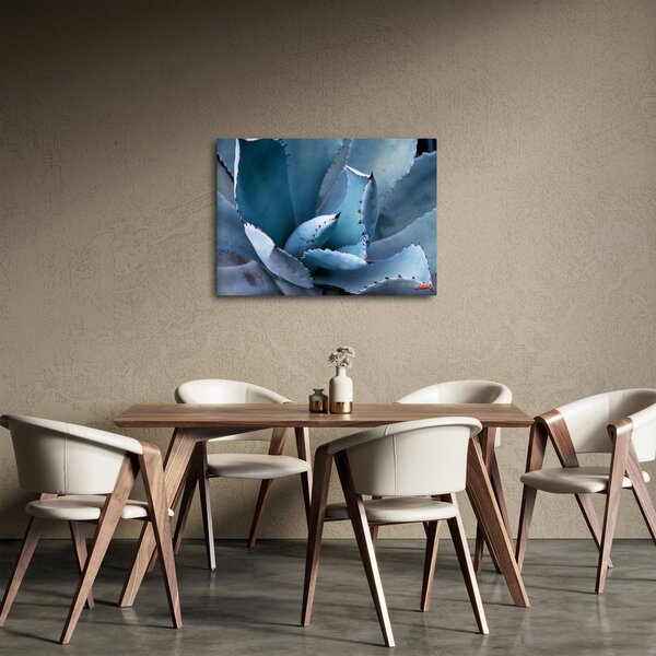 Slika - Agava (70x50 cm)