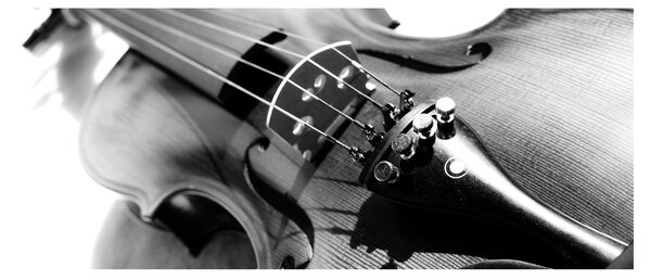 Slika - Violina (120x50 cm)