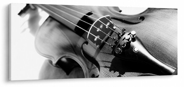 Slika - Violina (120x50 cm)