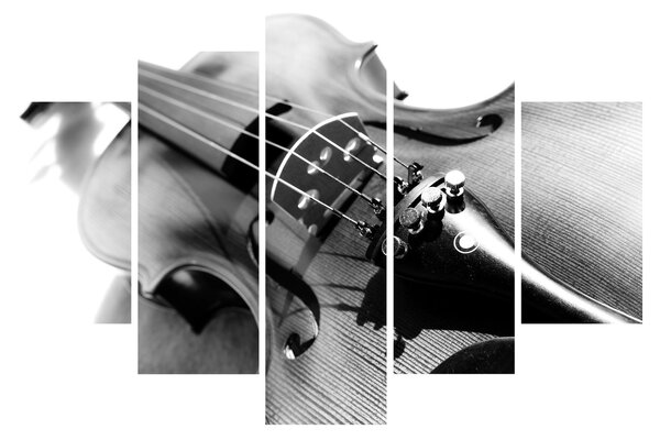 Slika - Violina (150x105 cm)