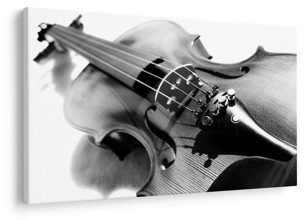 Slika - Violina (90x60 cm)