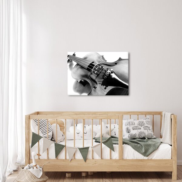 Slika - Violina (70x50 cm)