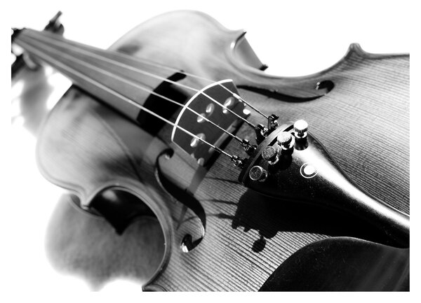 Slika - Violina (70x50 cm)