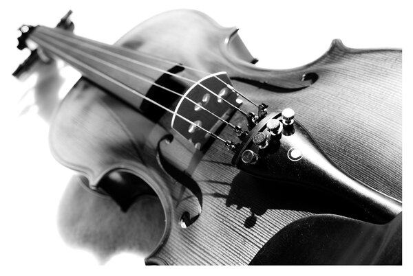 Slika - Violina (90x60 cm)
