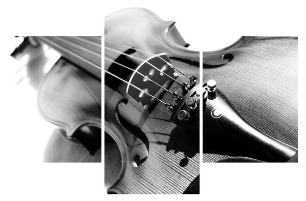 Slika - Violina (90x60 cm)