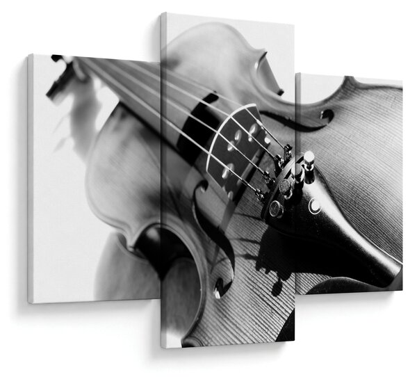 Slika - Violina (90x60 cm)