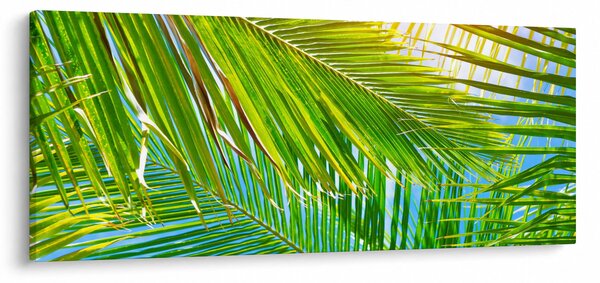 Slika - Palmino lišće (120x50 cm)