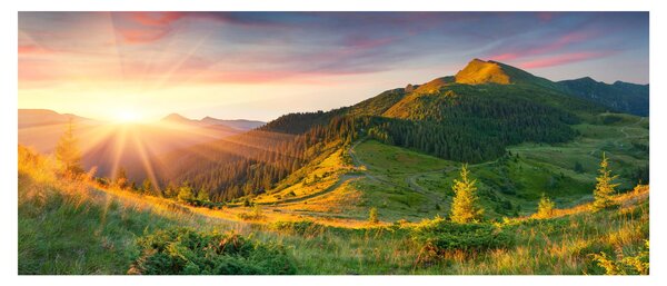 Slika - Ljetni krajolik (120x50 cm)