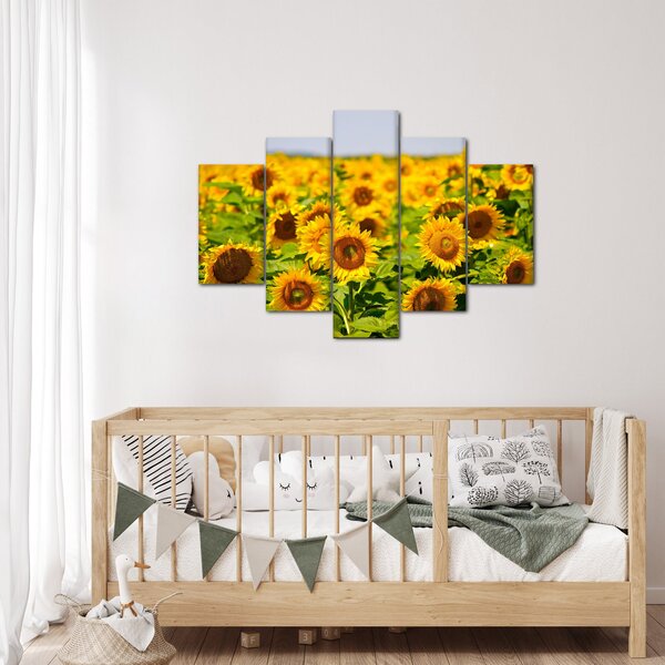 Slika - Suncokreti (150x105 cm)
