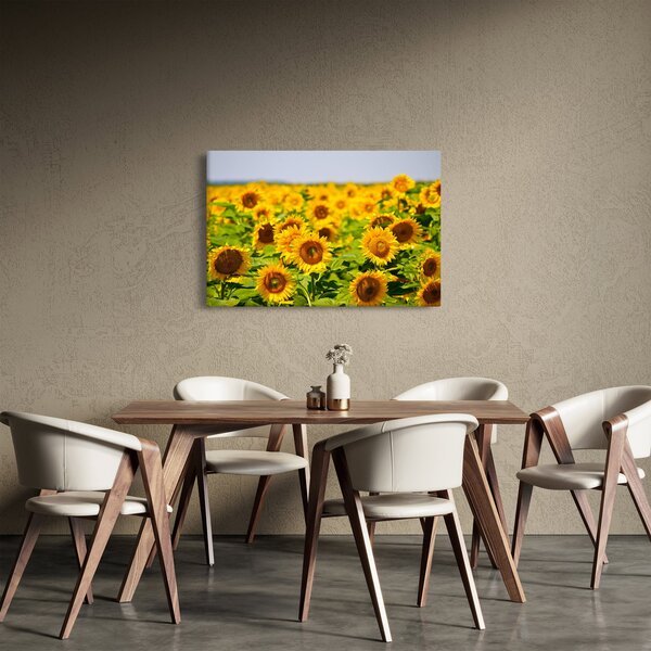 Slika - Suncokreti (90x60 cm)