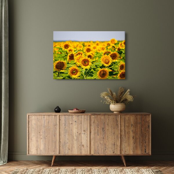 Slika - Suncokreti (90x60 cm)