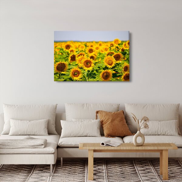 Slika - Suncokreti (90x60 cm)