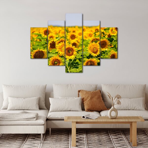 Slika - Suncokreti (150x105 cm)